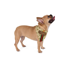 Load image into Gallery viewer, Pucci Pet Bandana - Your Posh Pet