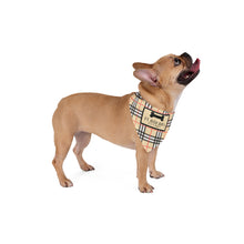 Load image into Gallery viewer, Furberry Faux-Designer Pet Bandana - Your Posh Pet