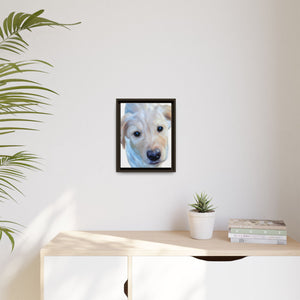 Framed Custom Canvas Artwork of Pet's Image - Your Posh Pet