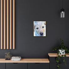 Load image into Gallery viewer, Framed Custom Canvas Artwork of Pet&#39;s Image - Your Posh Pet