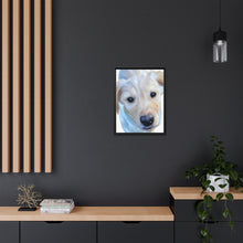 Load image into Gallery viewer, Framed Custom Canvas Artwork of Pet&#39;s Image - Your Posh Pet